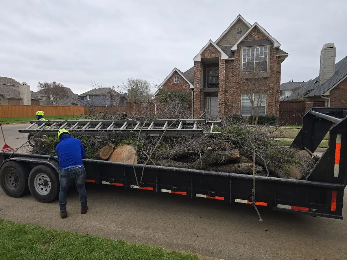 Expert Tree Fertilization with proper safety equipment in Willards